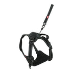 XL 56-80X73-94 CM (454141)